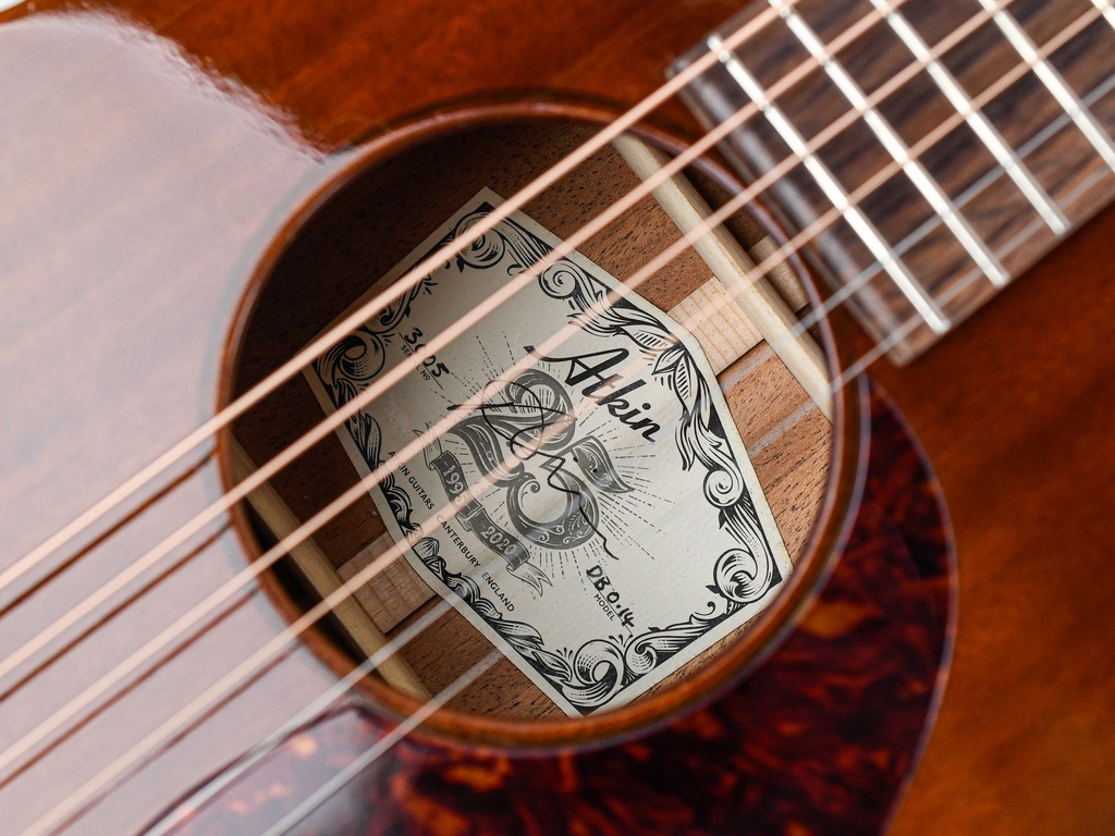 Atkin Dust Bowl O 14 Fret-11.jpg