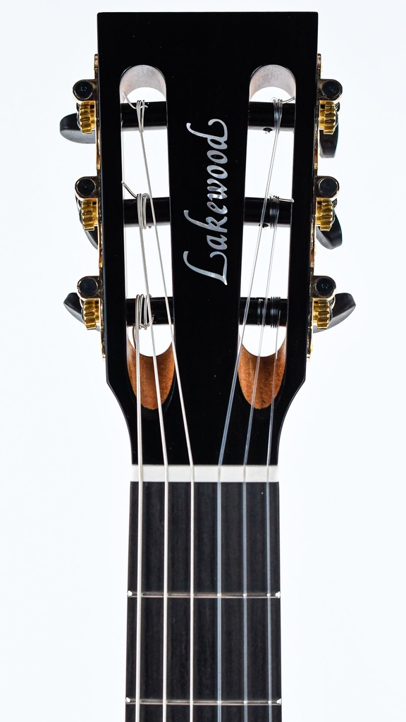 Lakewood M32CP Crossover Nylon-4.jpg