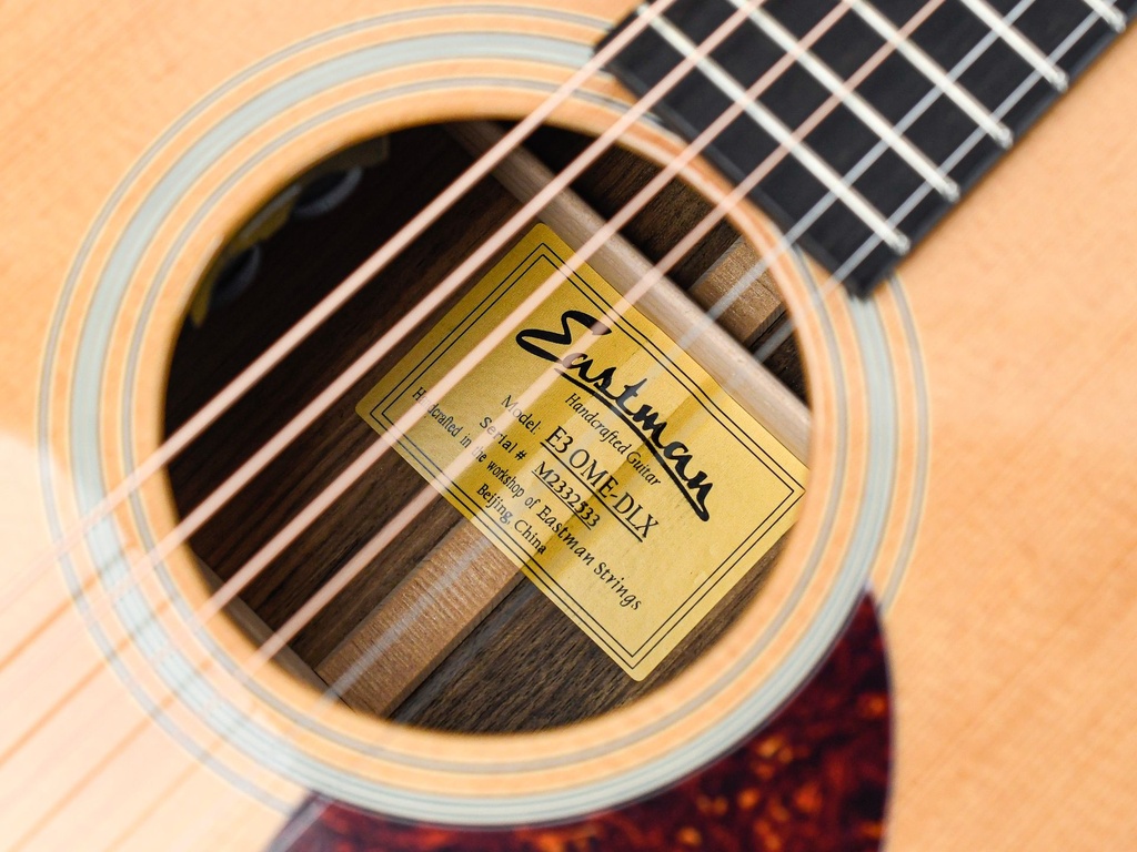 [E3OME-DLX] Eastman E3OM Deluxe-11.jpg