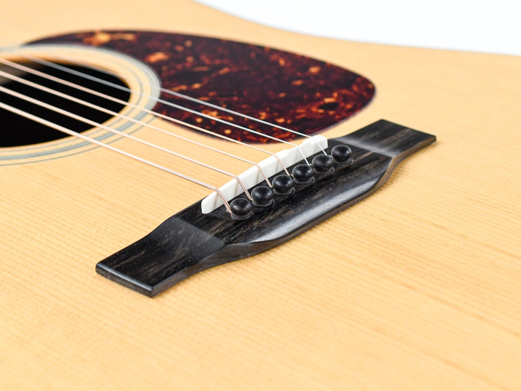 [E1D-DLX] Eastman E1D Deluxe-11.jpg