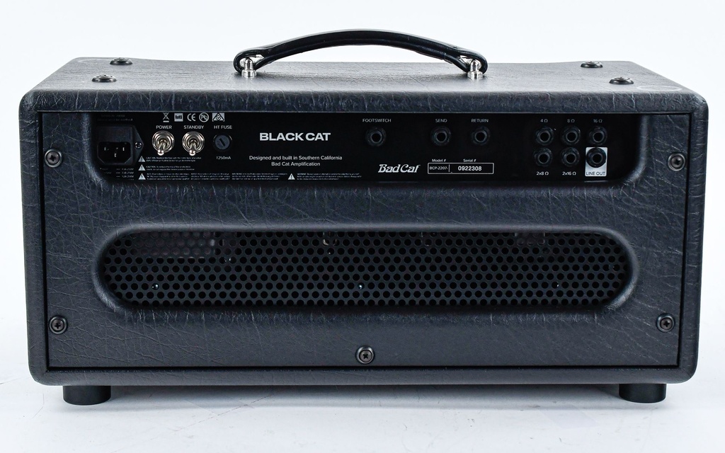 Bad Cat Black Cat Head-7.jpg