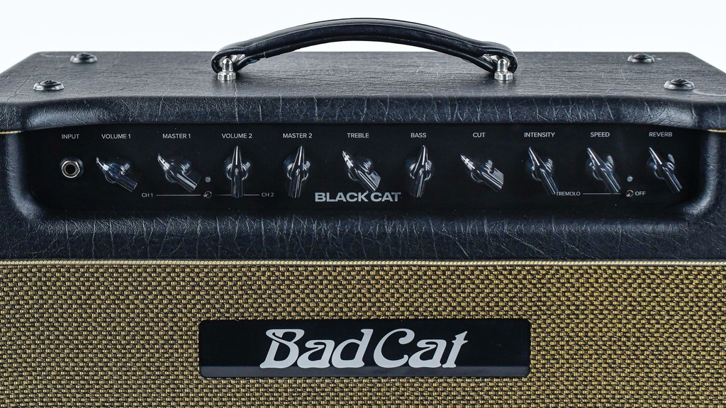 Bad Cat Black Cat Head-3.jpg