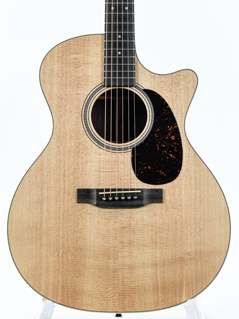 Martin GPC16E Rosewood-3.jpg