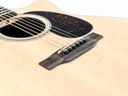 Martin GPC16E Rosewood-10.jpg