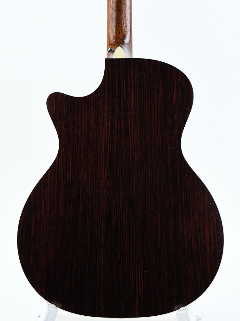 Martin GPC16E Rosewood-6.jpg
