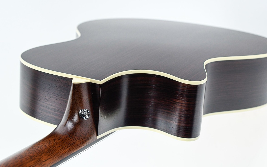 Martin GPC16E Rosewood-9.jpg
