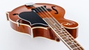 Kentucky KM752 Deluxe F-Model Mandolin-8.jpg