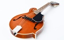 Kentucky KM752 Deluxe F-Model Mandolin-11.jpg