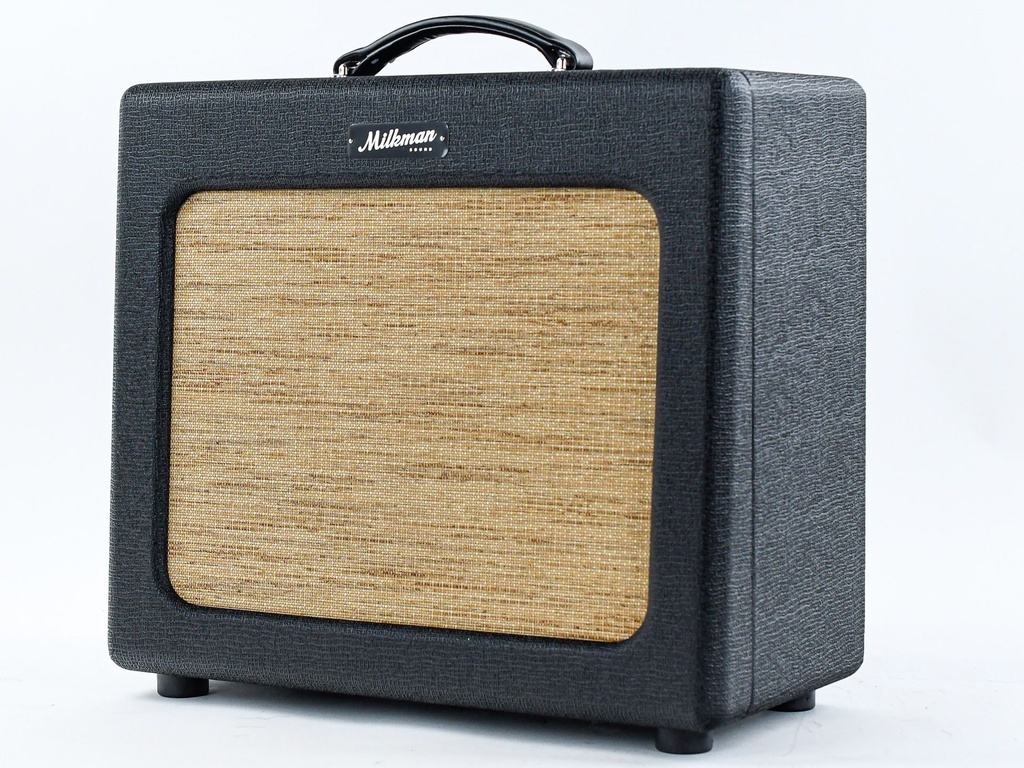 Milkman Sound Bee Keeper 1x12 Combo-6.jpg