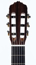 TJ Parsons Classical Bloodwood Alpine Spruce 2024-4.jpg
