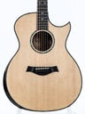 [Custom GA] Taylor Custom GA #12644-3.jpg