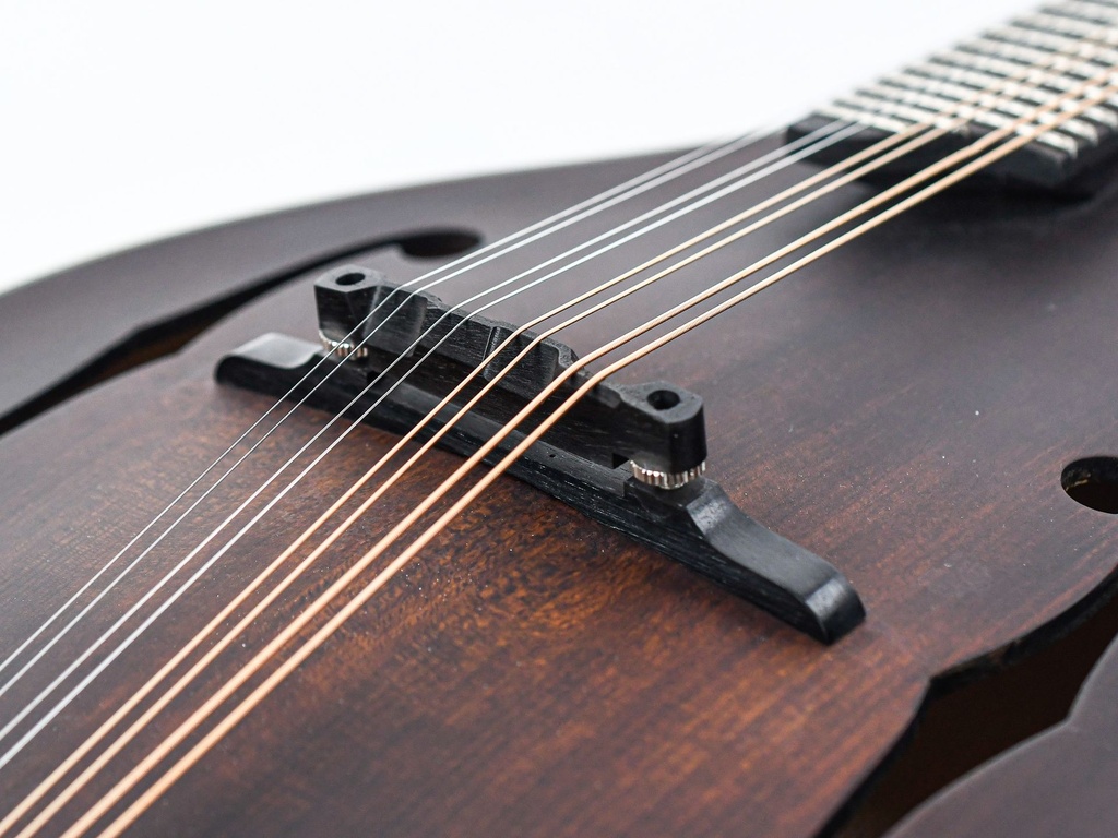 Eastman MD305 A Style Mandolin Lefty-10.jpg