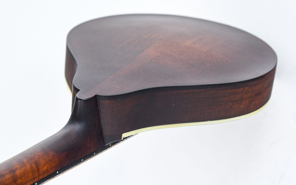 Eastman MD305 A Style Mandolin Lefty-9.jpg