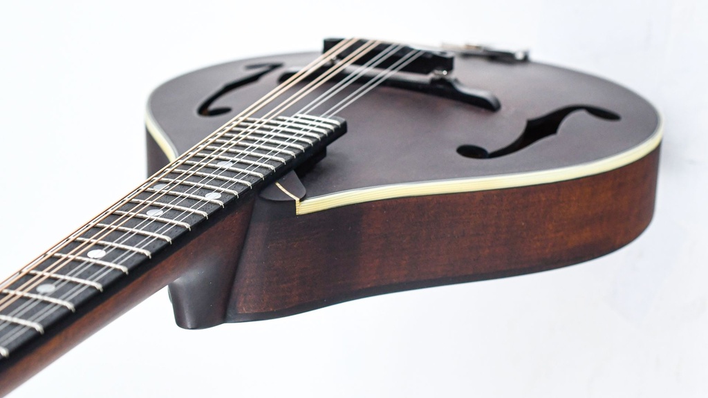 Eastman MD305 A Style Mandolin Lefty-8.jpg