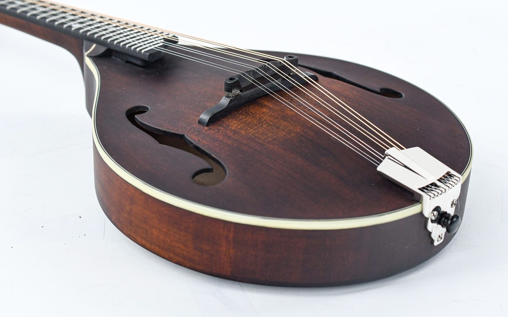 Eastman MD305 A Style Mandolin Lefty-11.jpg