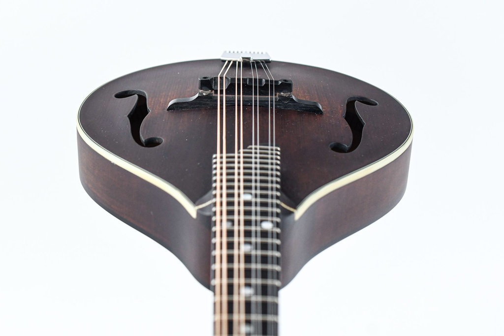 Eastman MD305 A Style Mandolin Lefty-13.jpg