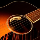 anthem-acoustic-guitar-pickup-microphone-2.jpg