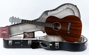 Santa Cruz 1929 000 Mahogany-1.jpg