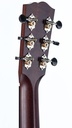 Santa Cruz 1929 000 Mahogany-5.jpg