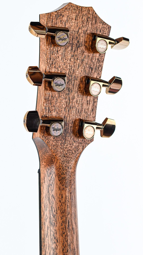 Taylor 724ce Koa-5.jpg