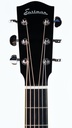 [AC322CE] Eastman AC322CE-4.jpg