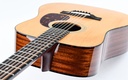 Eastman E1D 12-String Deluxe-8.jpg