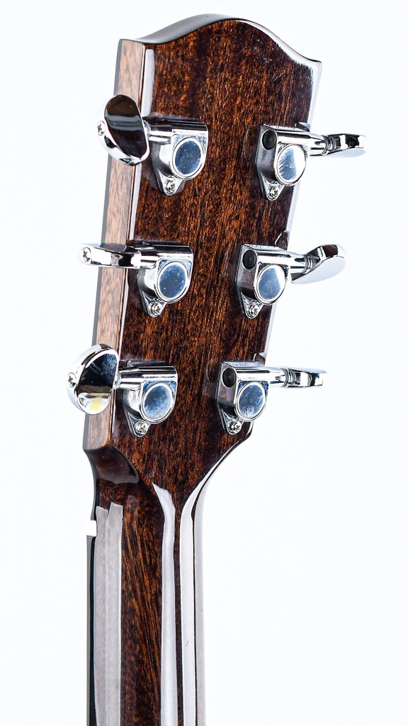 Eastman AC222CE Deluxe-5.jpg