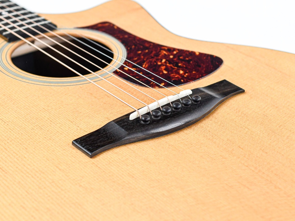 Eastman AC222CE Deluxe-10.jpg