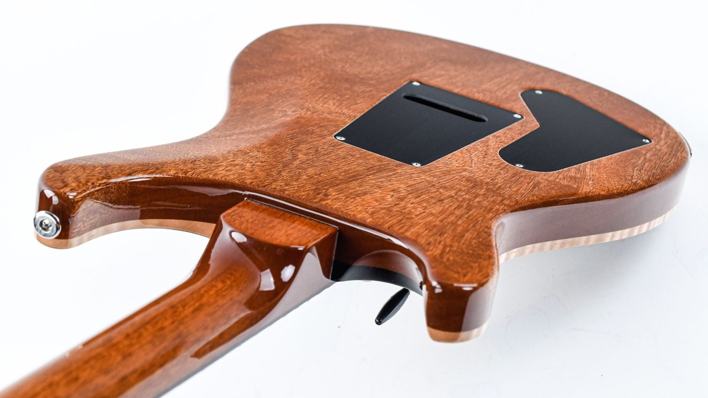 PRS Special Semi Hollow Yellow Tiger-9.jpg