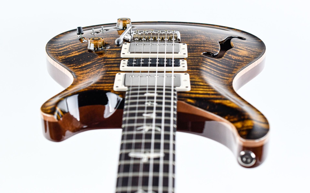 PRS Special Semi Hollow Yellow Tiger-12.jpg