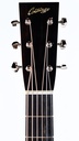 Collings D2H Traditional-4.jpg