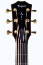 Taylor K24ce Builder's Edition-4.jpg