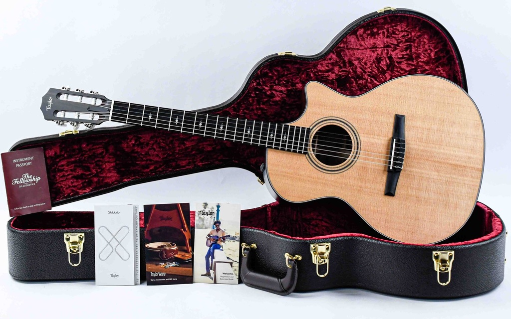 Taylor 314ce-N Nylon-1.jpg