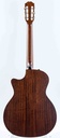 Taylor 314ce-N Nylon-5.jpg