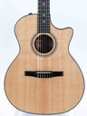 Taylor 314ce-N Nylon-3.jpg