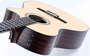 Taylor 314ce-N Nylon-8.jpg