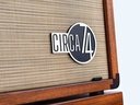 Circa 74 AV150-10 Amp Mahogany-4.jpg