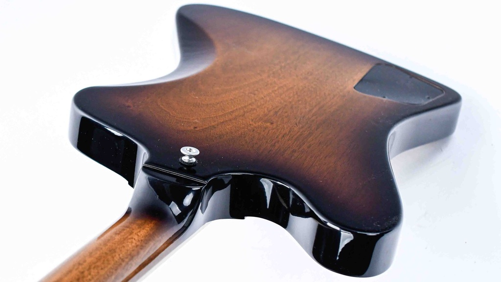 [DSFRP00TBCH1] Firebird Platypus-9.jpg