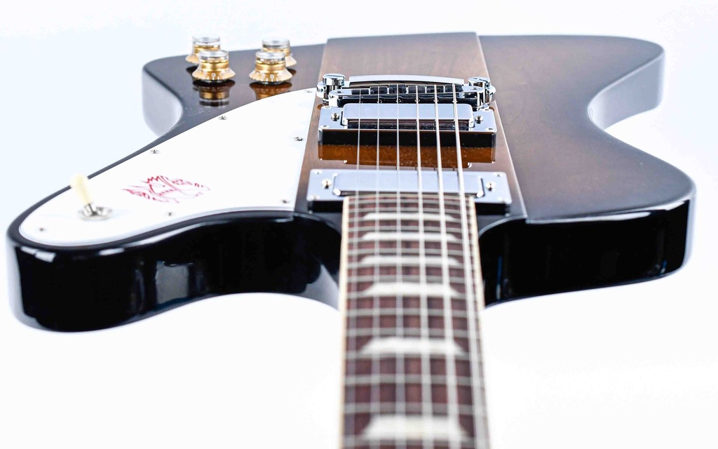 [DSFRP00TBCH1] Firebird Platypus-12.jpg