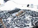 Fender Custom Shop 50s Telecaster Thinline Black Paisley Relic-11.jpg