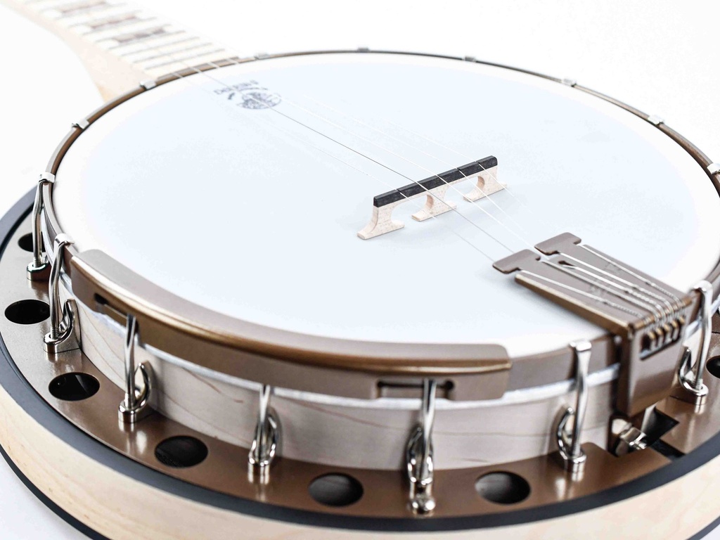 [D-G2] Deering Goodtime Two Deco Banjo 5-String-12.jpg