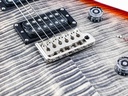 PRS SE Custom 24 Charcoal Cherry Burst-10.jpg
