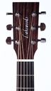 Lakewood M31CP-4.jpg
