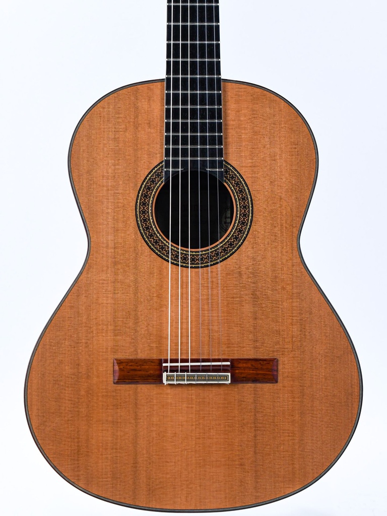 Alhambra 10Fp Pinana Flamenco-3.jpg