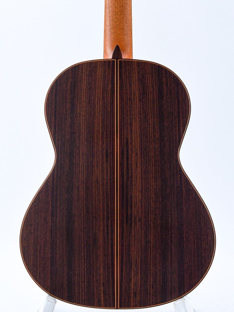 Alhambra 10Fp Pinana Flamenco-6.jpg