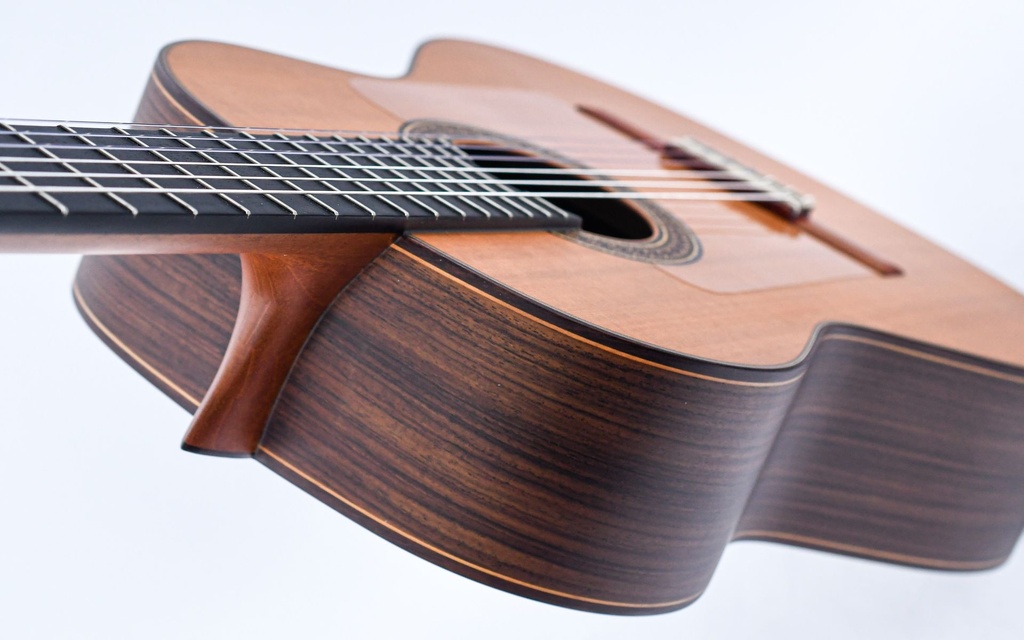 Alhambra 10Fp Pinana Flamenco-8.jpg