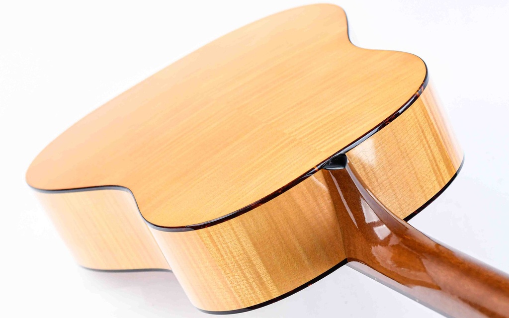 [19 STD 'KINGFISHER'] Atkin 19 STD Kingfisher TFOA LTD-10.jpg