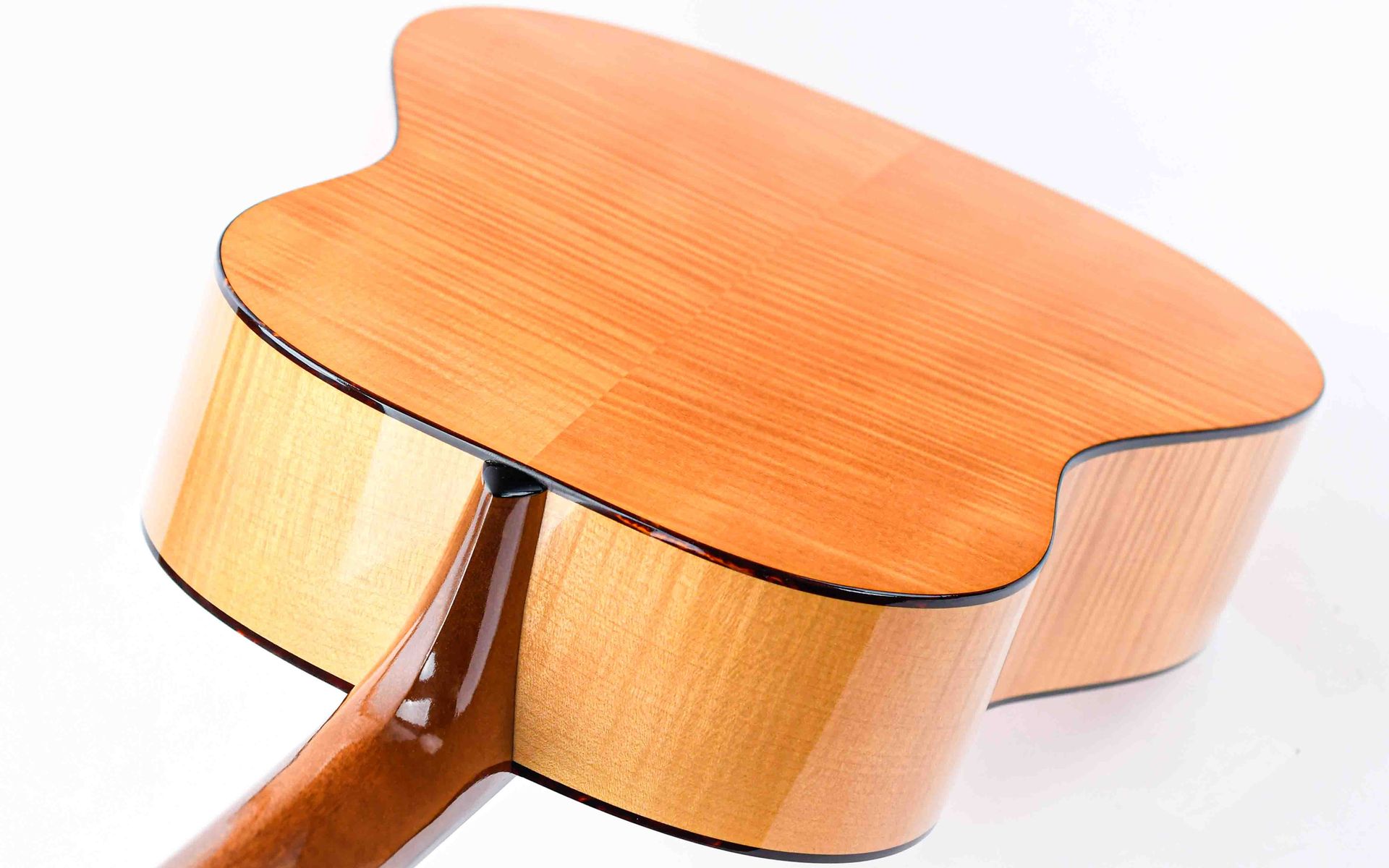 https://www.tfoa.eu/web/image/product.image/145611/image_1920/
