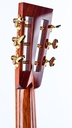 [003 Cocobolo A] Collings 003 Cocobolo Adirondack-5.jpg