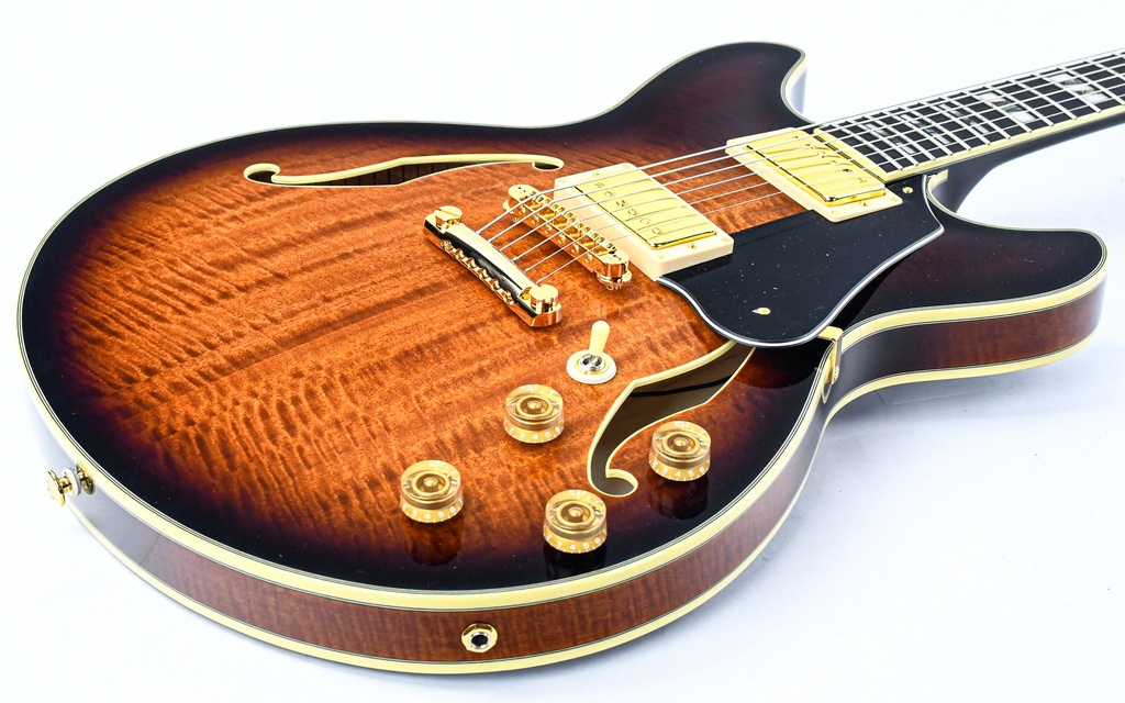 [JSM100VT] Ibanez JSM100 VT John Scofield-11.jpg